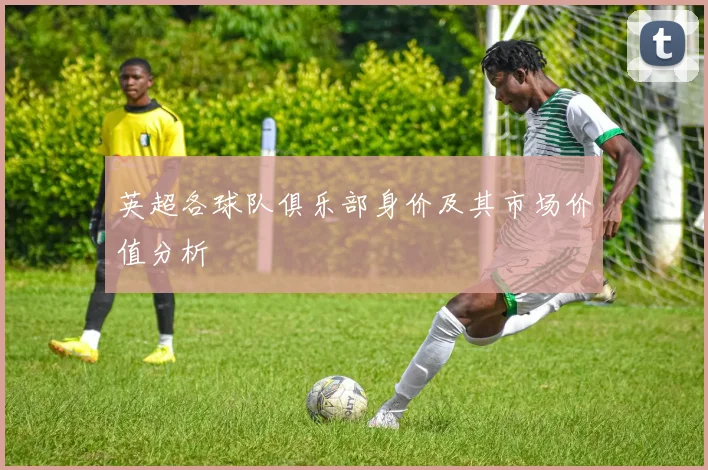 英超各球队俱乐部身价及其市场价值分析