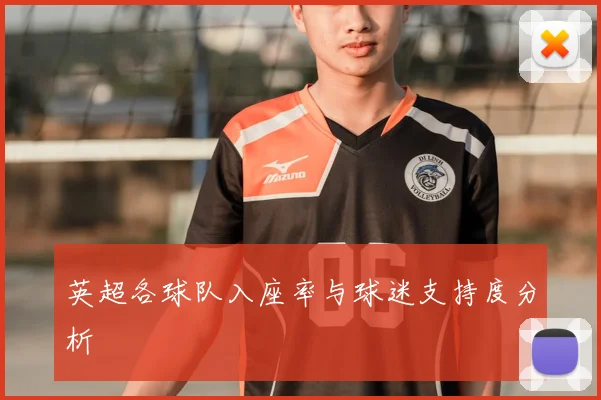 英超各球队入座率与球迷支持度分析