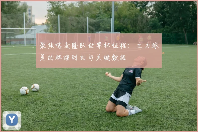 聚焦喀麦隆队世界杯征程：主力球员的辉煌时刻与关键数据