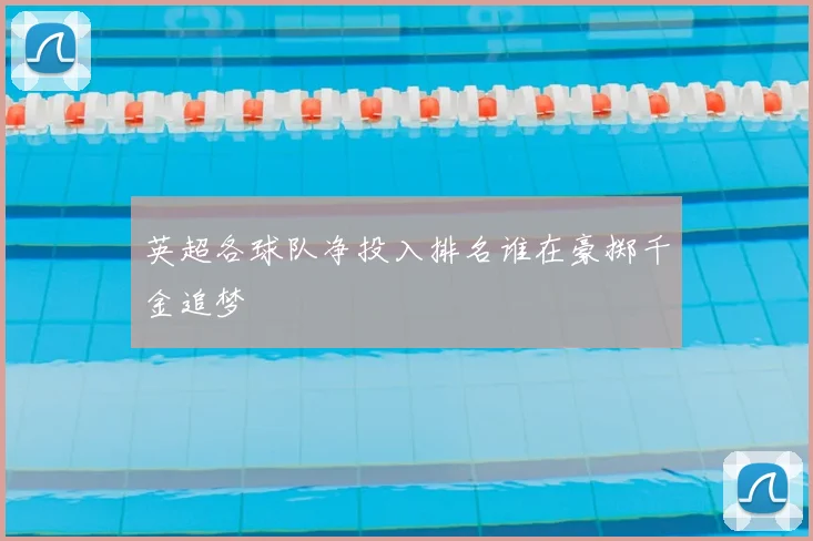 英超各球队净投入排名谁在豪掷千金追梦