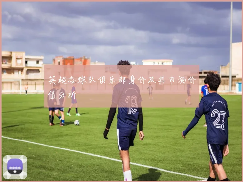 英超各球队俱乐部身价及其市场价值分析